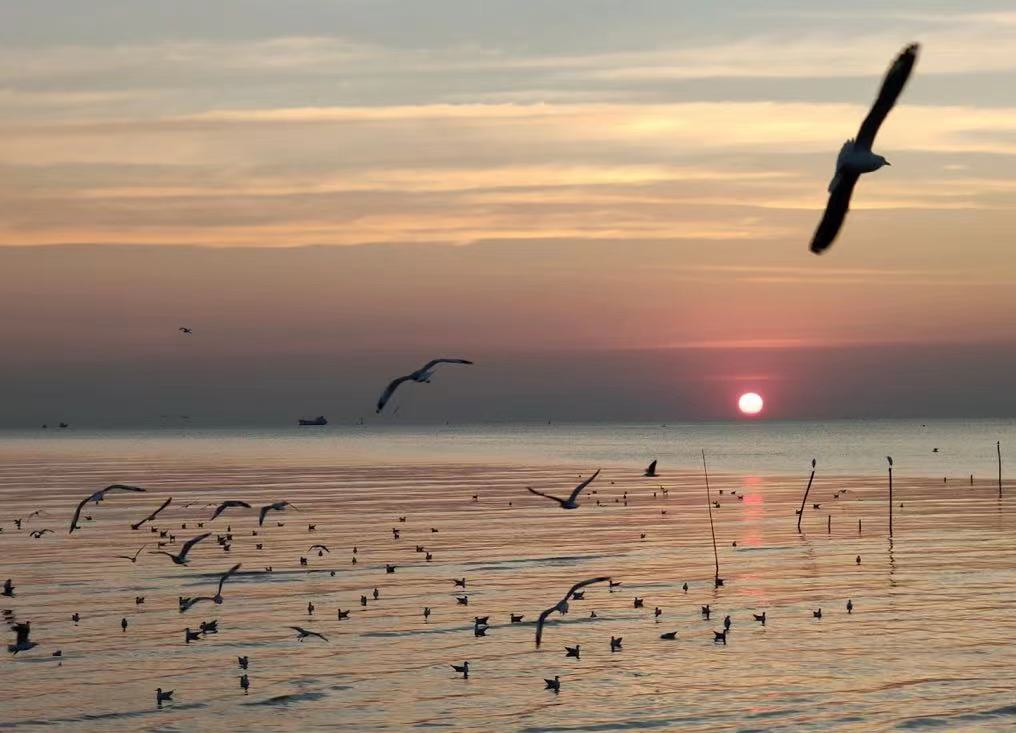 image-20230419161104455